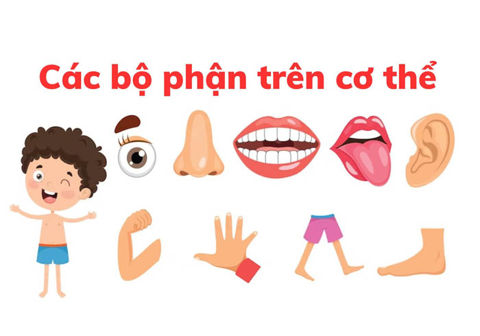 Bai-tap-phat-trien-ky-nang-tu-duy-cho-tre--Bai-so-7-